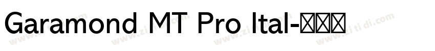 Garamond MT Pro Ital字体转换